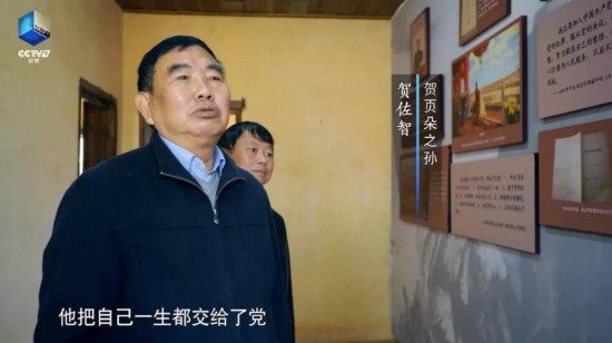 维多利亚(中国品牌)官方网站-Victoria Company